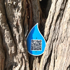 raindrop with qr code in a tree